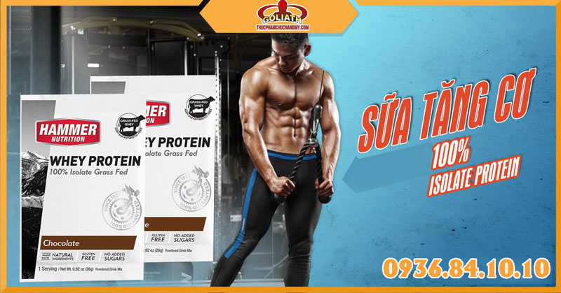 Hammer Whey Protein Isolate