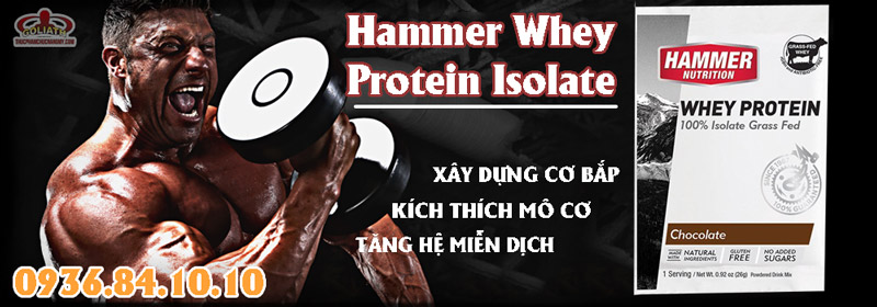 Hammer Whey Protein Isolate 