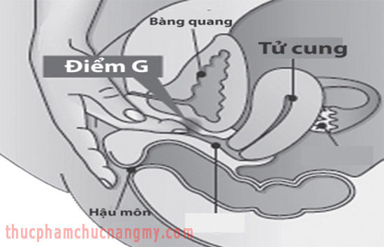 huong-dan-moc-cua-ngon-tay-diem-g