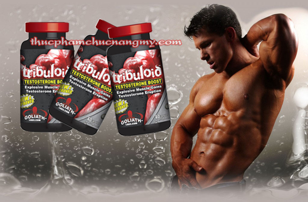 Thuốc tăng cơ Tribuloid Testosterone Boost Thuốc tăng cơ Tribuloid Testosterone Boost